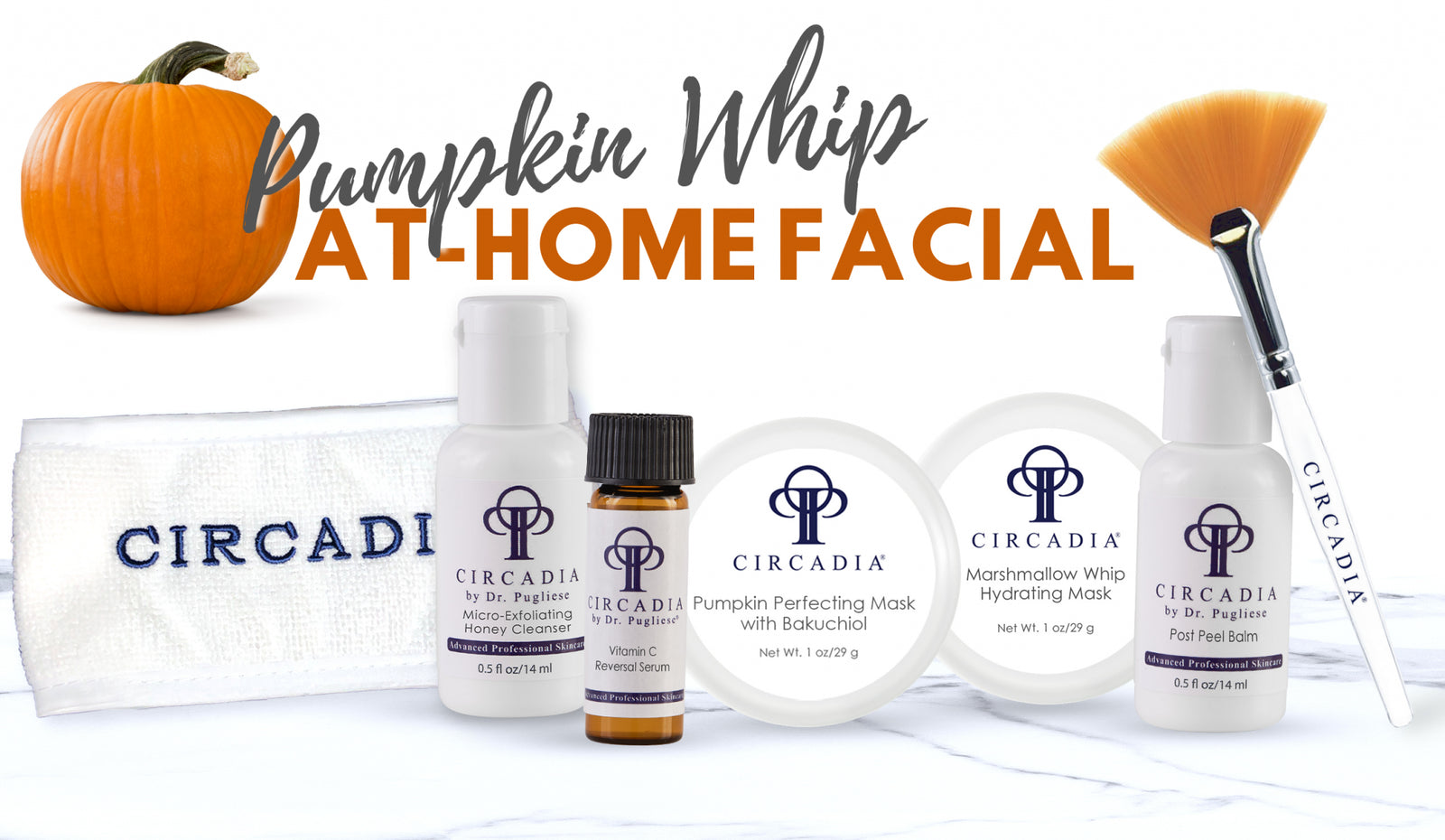 Circadia Pumpkin Whip at-home Facial – Bumblebee Skincare